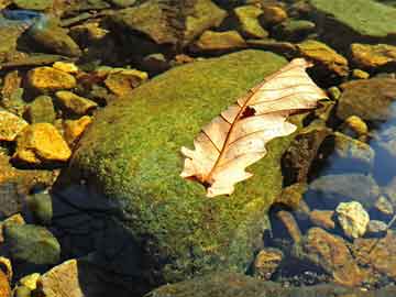 澳門(mén)六開(kāi)彩天天正版澳門(mén)注,澳門(mén)六開(kāi)彩天天正版澳門(mén)注——揭示背后的違法犯罪問(wèn)題
